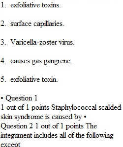 Post Lab Assignment